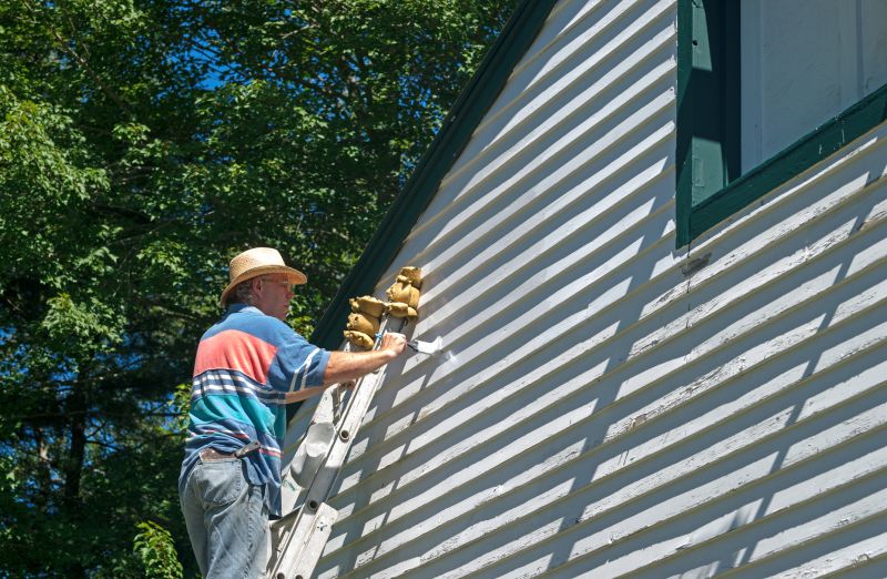 Siding Painting